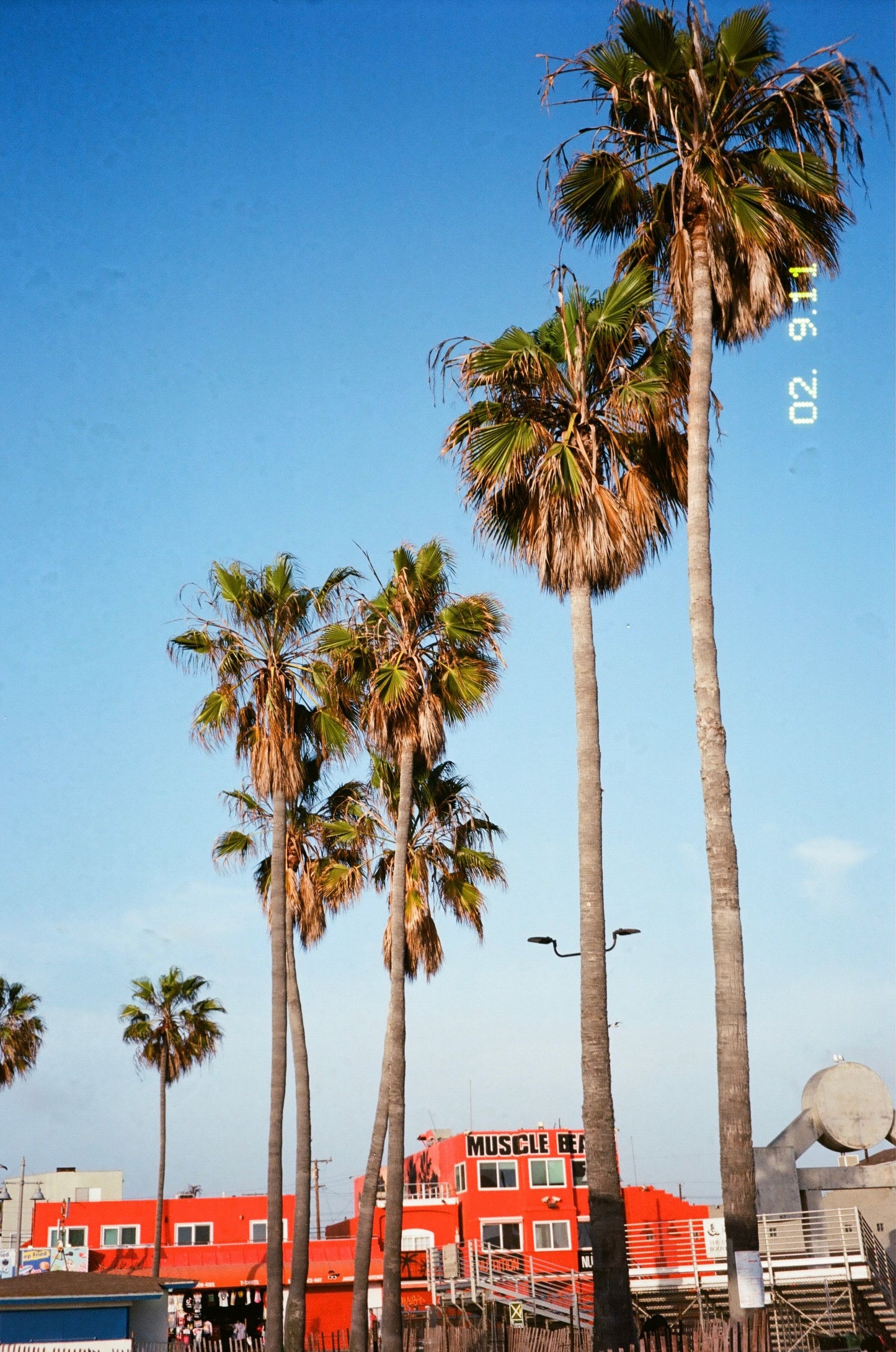 Muscle Beach